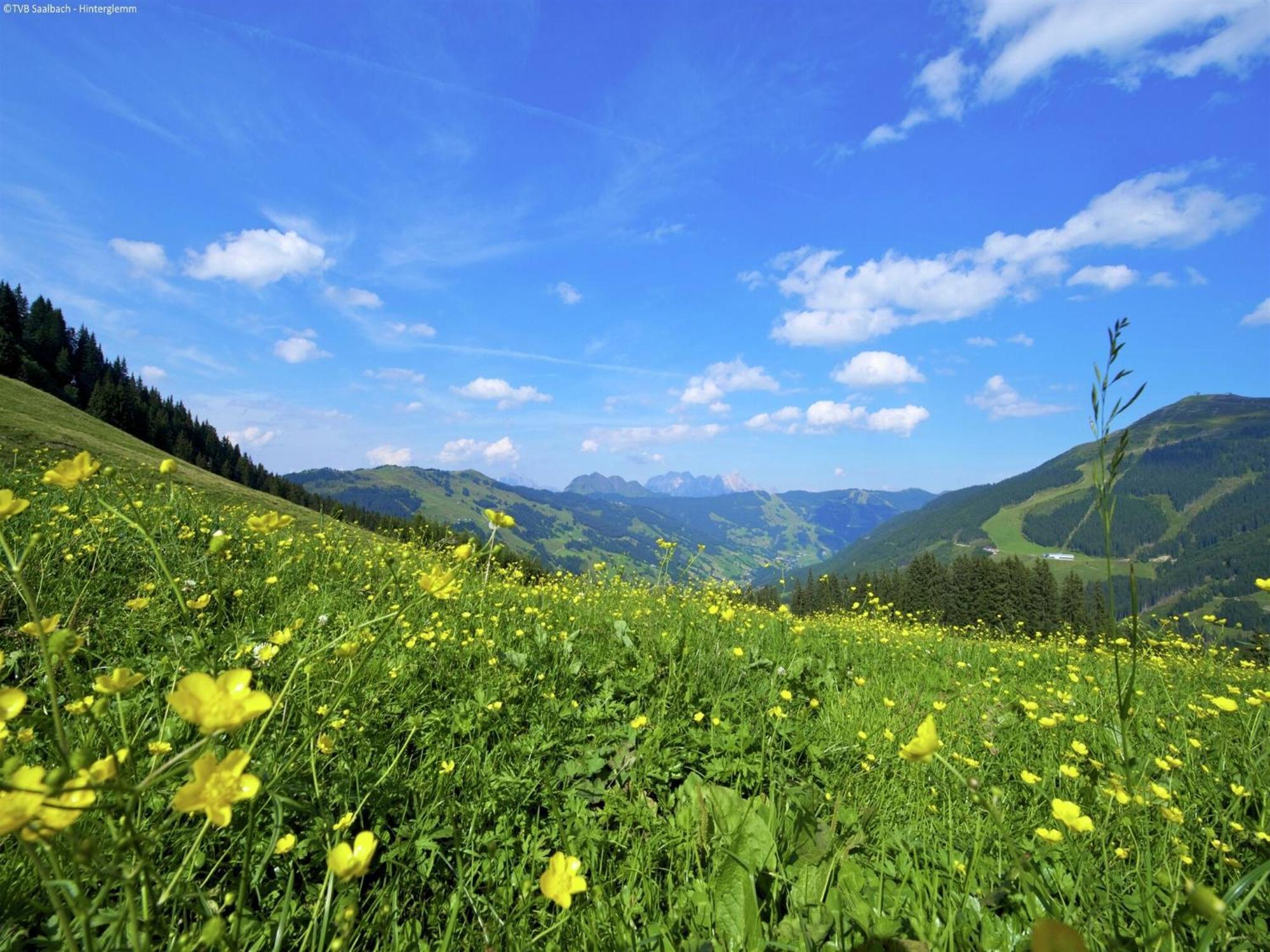 Apartment In Saalbach Hinterglemm Near Ski Area Buitenkant foto